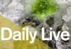 Daily Live – 1300 UTC Monday 12 February | Volvo Ocean Race