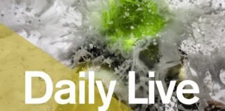Daily Live – 1300 UTC Monday 12 February | Volvo Ocean Race