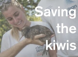 Saving the kiwis | Volvo Ocean Race