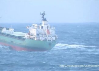 Bulk Carrier riding the Swell Bulk Carrier riding the Swell