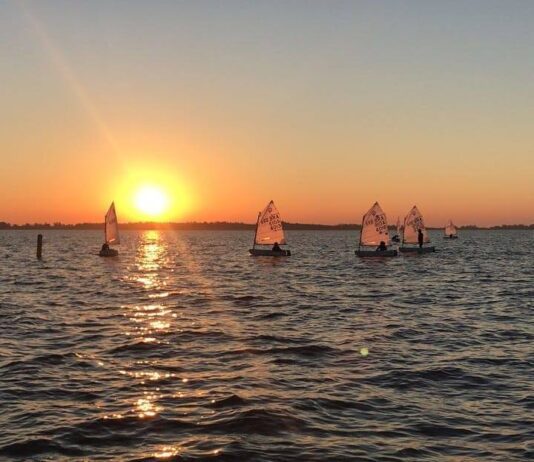 Confira as súmulas das regatas de Optimist da Fevers, Estreantes e Veteranos, re...