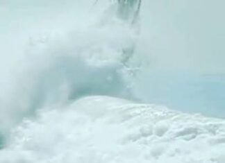 Oh my WAVE!