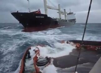 Would you dare working in such condition !  That's real Life at Sea