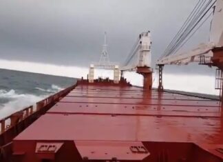 Welcome to Open Sea Welcome to Open Sea