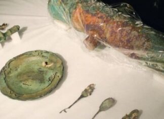 A quem pertencem os tesouros encontrados no fundo do mar? – BBC – Meio Ambiente