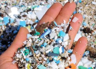 Microplástico – um problema do tamanho dos oceanos!