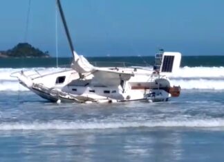 Encalhe na Praia da Enseada, Guarujá SP