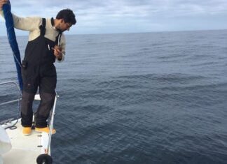 Comandante gaudério observa golfinho na proa do veleiro Gulliver (Flo-RGr)… Comandante gaudério observa golfinho na proa do veleiro Gulliver (Flo-RGr)...