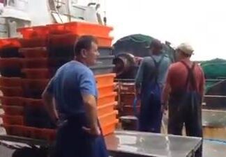 Porque barcos não tem freios… Grupo Sumipesca