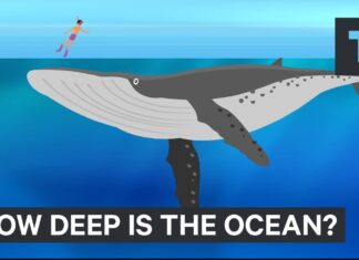 This Incredible Animation Shows How Deep The Ocean Really Is This Incredible Animation Shows How Deep The Ocean Really Is