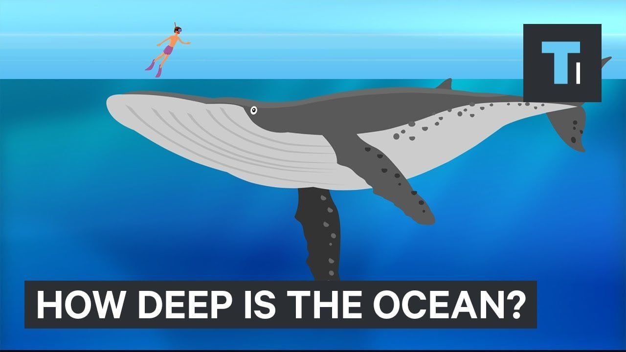 This Incredible Animation Shows How Deep The Ocean Really Is 1