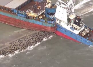 Assistir a Consequences of the typhoon in Japan Assistir a Consequences of the typhoon in Japan