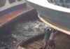 Assistir a Crazy Boat Terminal in Bangladesh