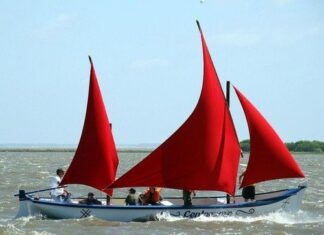 Canoa de Pranchão Canoa de Pranchão