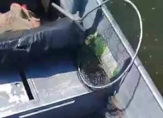 Assistir ao vídeo
