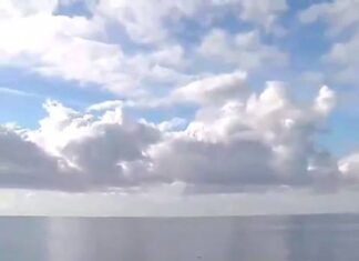 Assistir a Dolphins escorting USS Greeneville Assistir a Dolphins escorting USS Greeneville