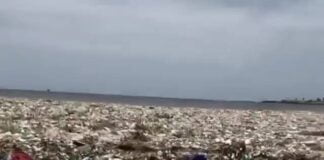 Assistir a Each year, humans dump 13 million metric tons of plastic into the ocean