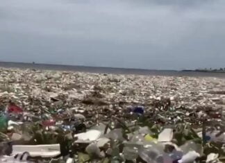 Assistir a Each year, humans dump 13 million metric tons of plastic into the ocean