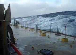 Assistir a Life At Sea Assistir a Life At Sea