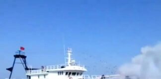 Assistir a Beaching like a Pro