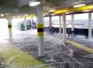 Assistir a Deck Washing!
