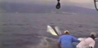Assistir a Fishing gone wrong!