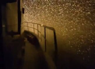 Assistir a Snowing at Sea Assistir a Snowing at Sea