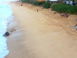 Surfar de traz pra frente...