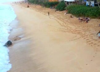 Surfar de traz pra frente… Surfar de traz pra frente...