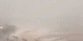  a Antalya, Turkey On 24/01/2019