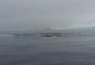  a Whale Watching