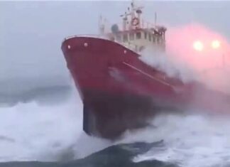 a Life At Sea
