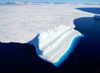 Greenpeace Founder: Global Warming Hoax Pushed by Corrupt Scientists