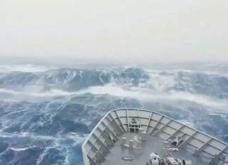 Mar Bravo
#popacombr Mar Bravo
#popacombr