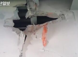 a Cargo Ship Led by Drunk Captain crashes in to bridge in South Korea a Cargo Ship Led by Drunk Captain crashes in to bridge in South Korea