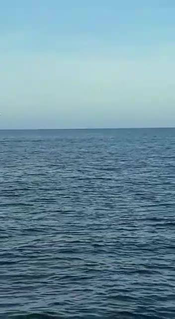 Baleia Aparece Junto À Costa De Piriápolis Uy Nesta Semana. (Postado Pelo Cmte... 1