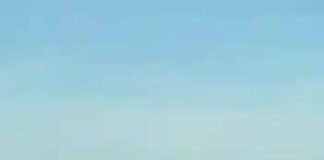 Baleia aparece junto à costa de Piriápolis UY nesta semana. 
 (postado pelo Cmte...