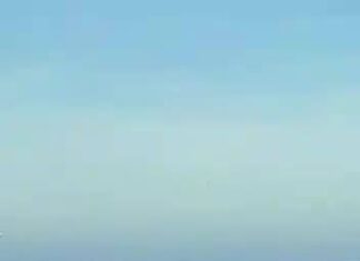 Baleia aparece junto à costa de Piriápolis UY nesta semana.
(postado pelo Cmte… Baleia aparece junto à costa de Piriápolis UY nesta semana.
(postado pelo Cmte...