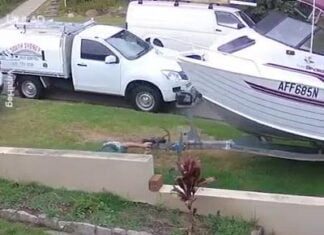 E daí surgiu a expressão “Homem que é homem não abandona o barco” E daí surgiu a expressão “Homem que é homem não abandona o barco”