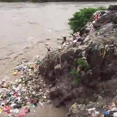 Sobre O Empenho Na Proibição Dos Canudinhos Plásticos Nao Há Educação Ambiental... 1 Sobre O Empenho Na Proibição Dos Canudinhos Plásticos Nao Há Educação Ambiental... 1