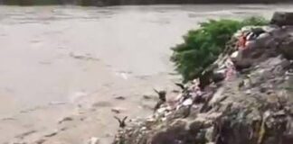 Sobre o empenho na proibição dos canudinhos plásticos
 Nao há educação ambiental...