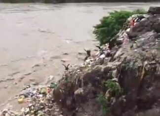 Sobre o empenho na proibição dos canudinhos plásticos
Nao há educação ambiental… Sobre o empenho na proibição dos canudinhos plásticos
Nao há educação ambiental...