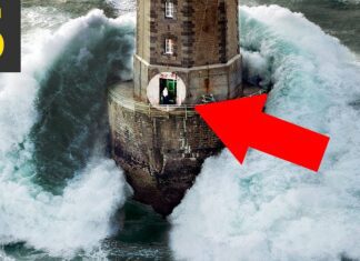 Top 5 WAVES VS LIGHTHOUSES Top 5 WAVES VS LIGHTHOUSES