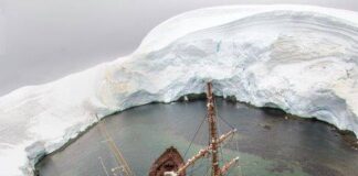 Europa au mouillage près du Guvernøren ex-Imo, at Wilhelmina Bay. Antartica.