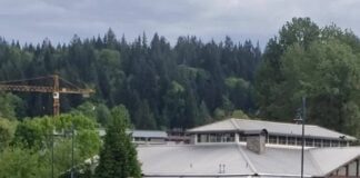 Uma lancha a reboque requer do piloto 3 vezes mais conhecimento do que para simp...