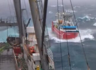 a This is Life At Sea a This is Life At Sea
