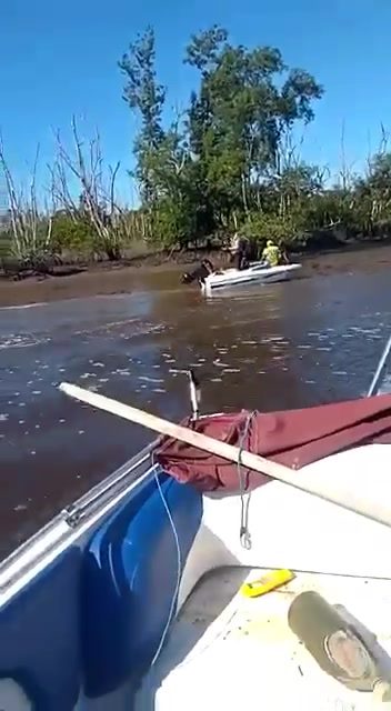 Amigo Da Onça 1