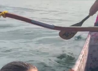 Baita susto pela performance da baleia!
 (via Cmte Francesco Colombo)