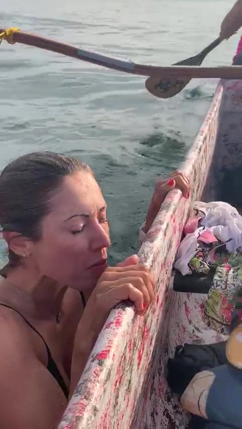 Baita Susto Pela Performance Da Baleia! (Via Cmte Francesco Colombo) 1
