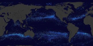 SVS: Garbage Patch Visualization Experiment